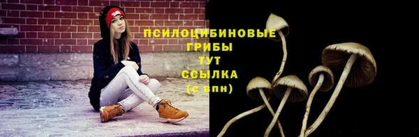 эйфоретик Липки