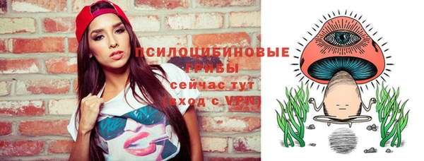 эйфоретик Липки