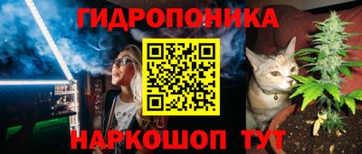 a pvp Абакан