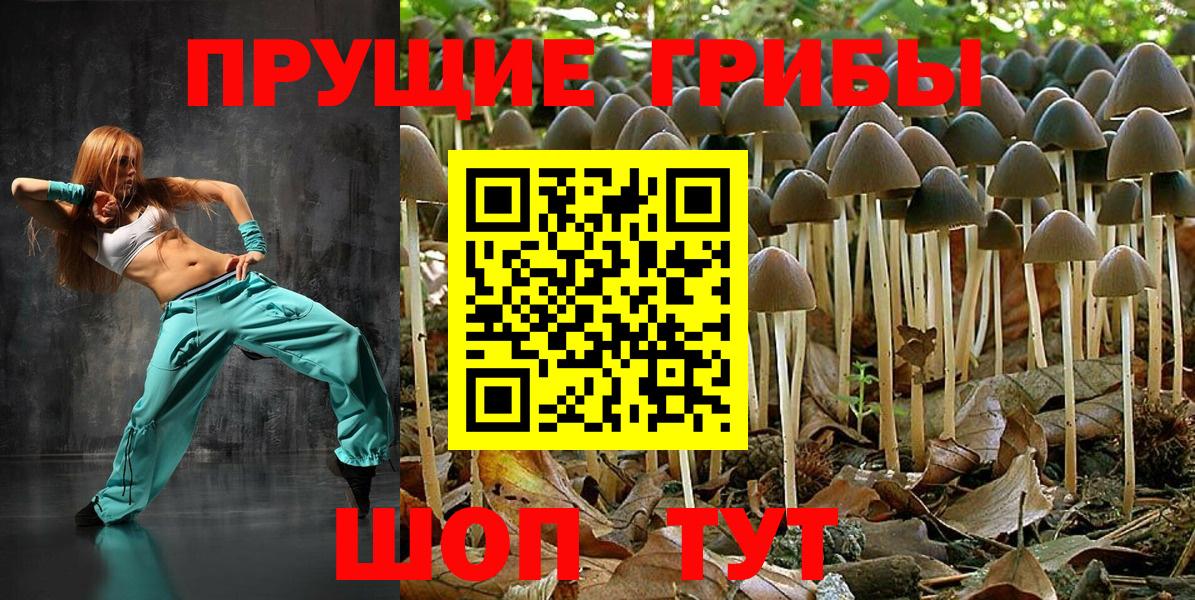 Псилоцибиновые грибы MAGIC MUSHROOMS Усолье-Сибирское