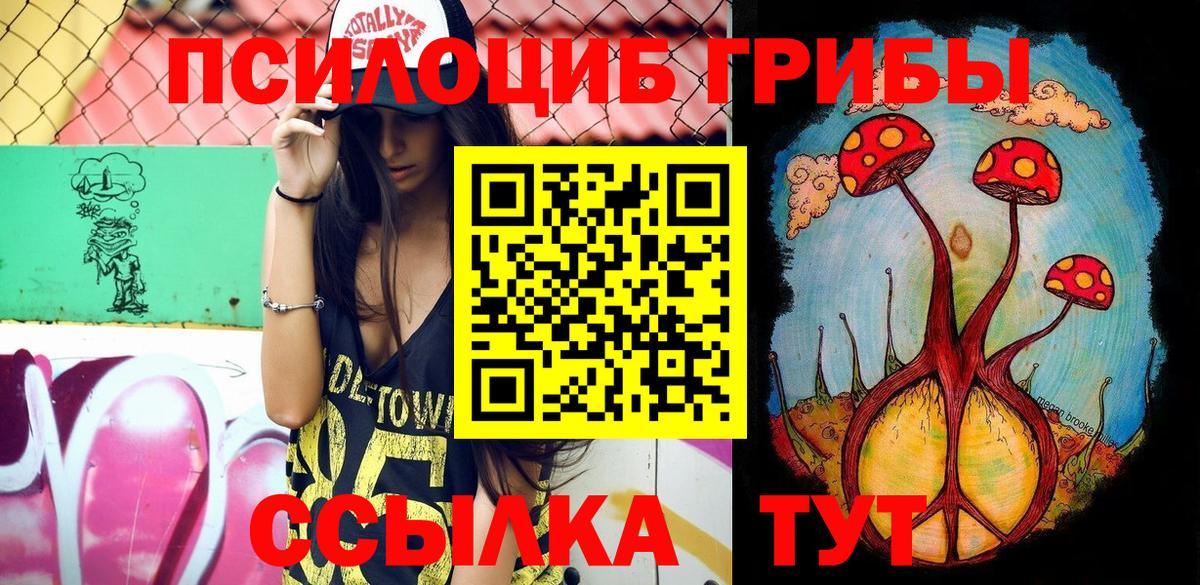 Усолье-Сибирское  Псилоцибиновые грибы мицелий  Псилоцибиновые грибы MAGIC MUSHROOMS  Вход с VPN 