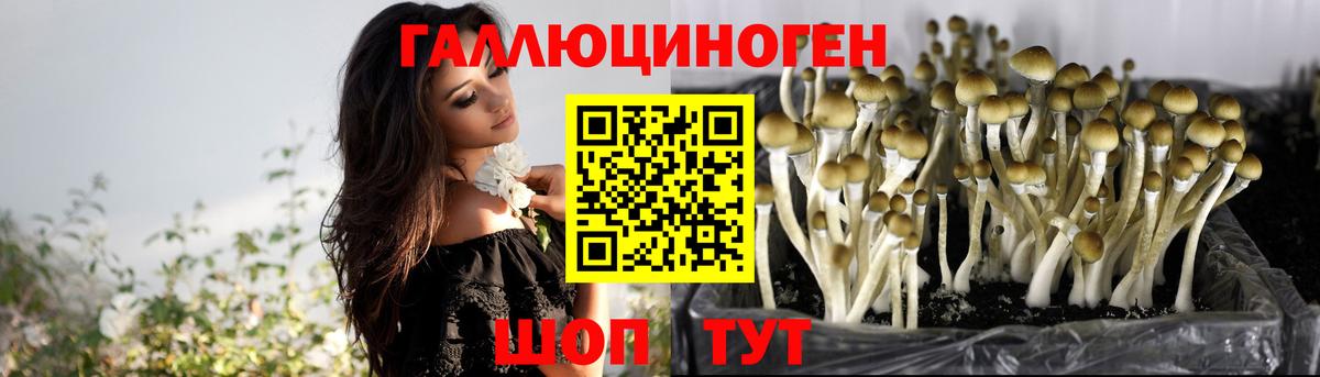 как найти наркотики  Псилоцибиновые грибы прущие грибы  Вход с VPN  Усолье-Сибирское 